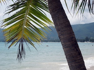 Palmer och strand på Koh Samui
