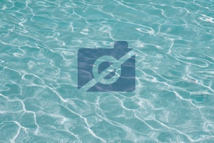 Logotyp