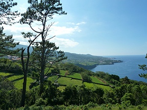 Grönskande, vidsträckt natur