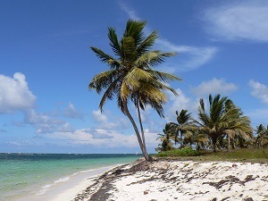 Strand Dominikanska Republiken 