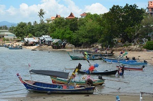 Fiskebåtar på Koh Samui