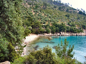 Thassos gröna kust