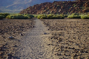 Teide nationelpark